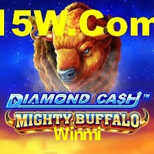 Premium Interface Winmi
